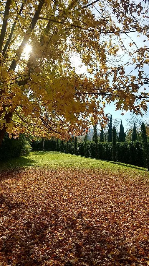 Country house Tenuta I Massini Empoli